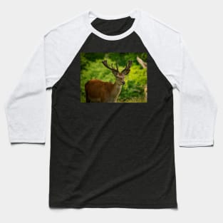 stag 5 Baseball T-Shirt